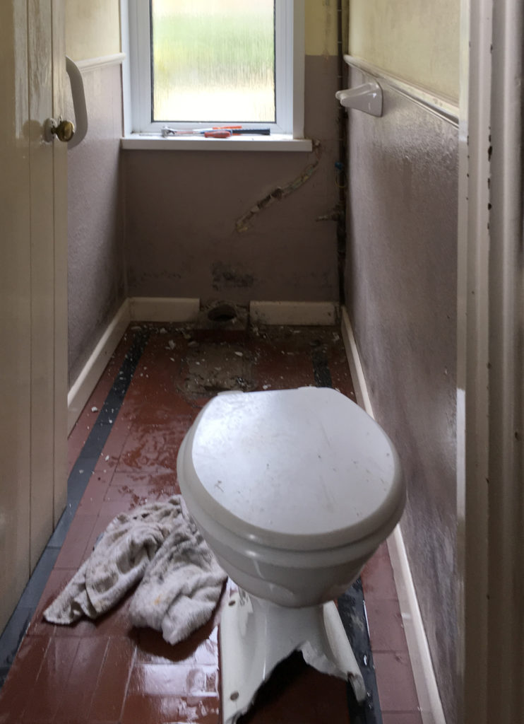 Taking out the old loo