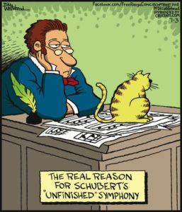 Cat cartoon - the real reason for Schubert's Unfinished Symphony