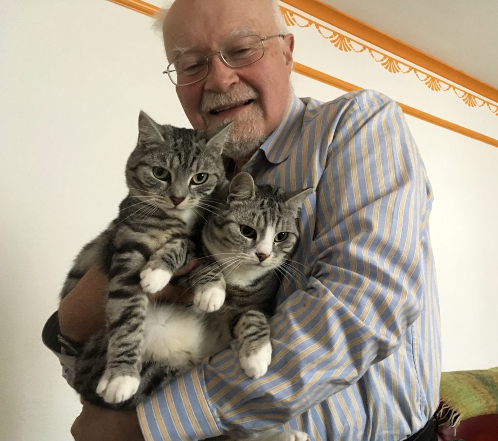 An armful of kitties