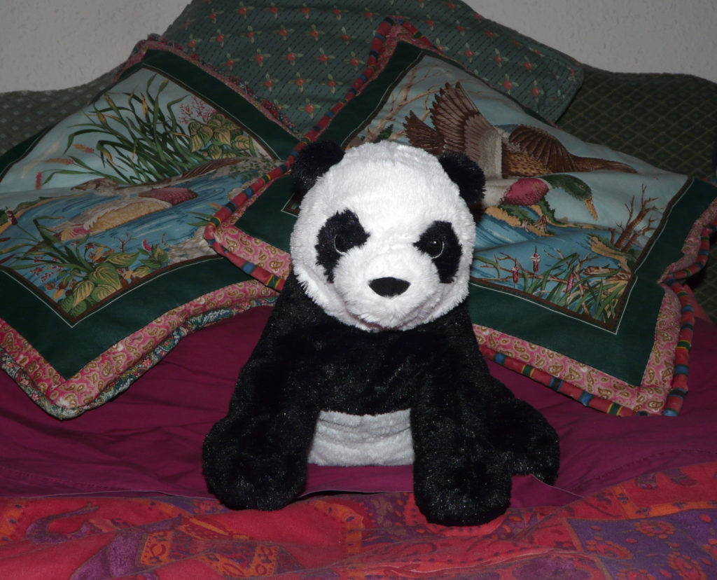 Yum Sing, my little panda