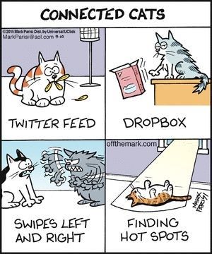 Connected Cats cartoon