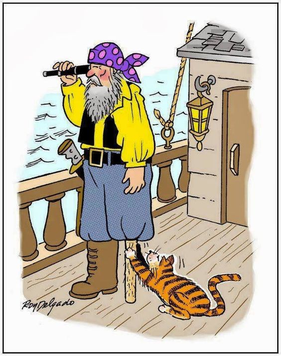 Pirate scratching post cat cartoon