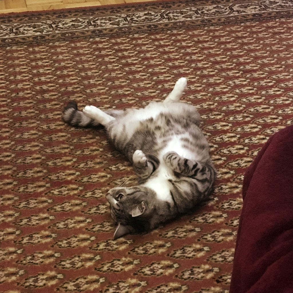 Lily showing everything