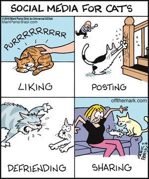 Cartoon - Social Media for Cats