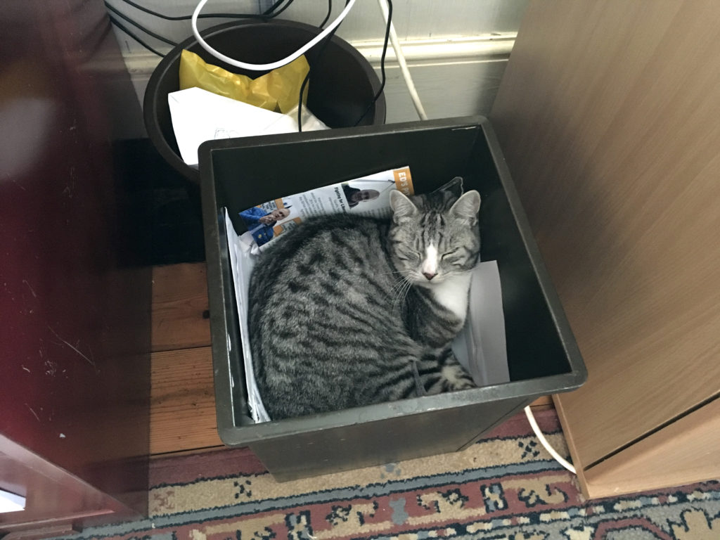 Ruby's life still rubbish