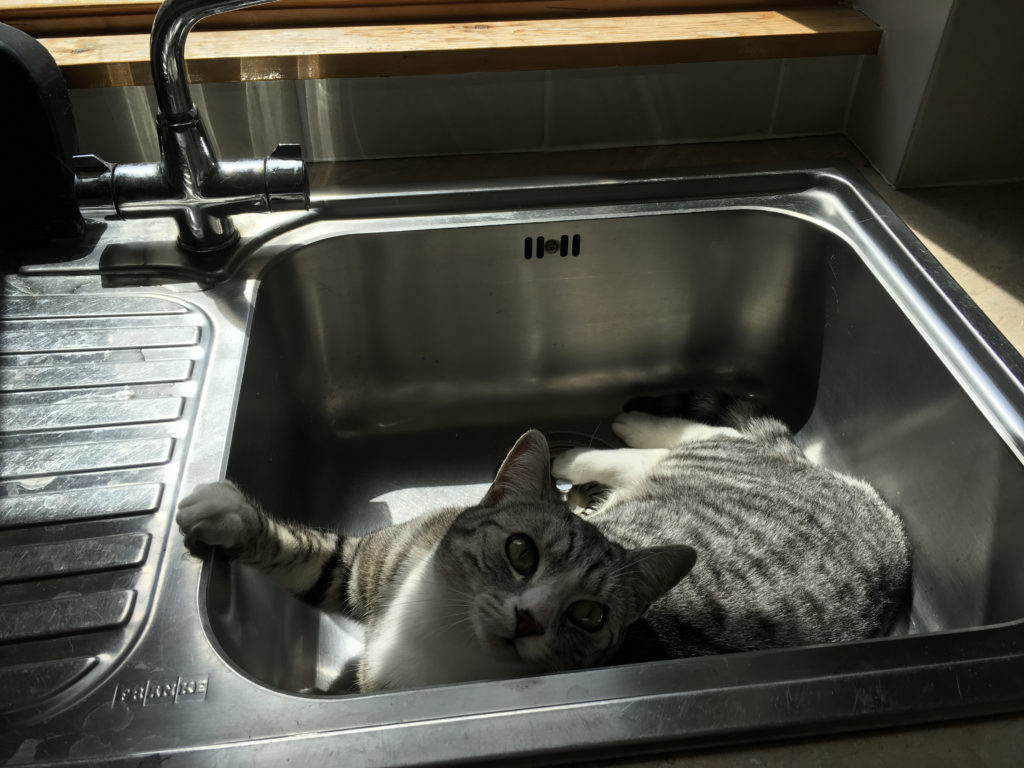 Ruby in the sink