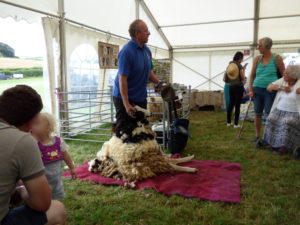 Read more about the article Totnes Show 2019