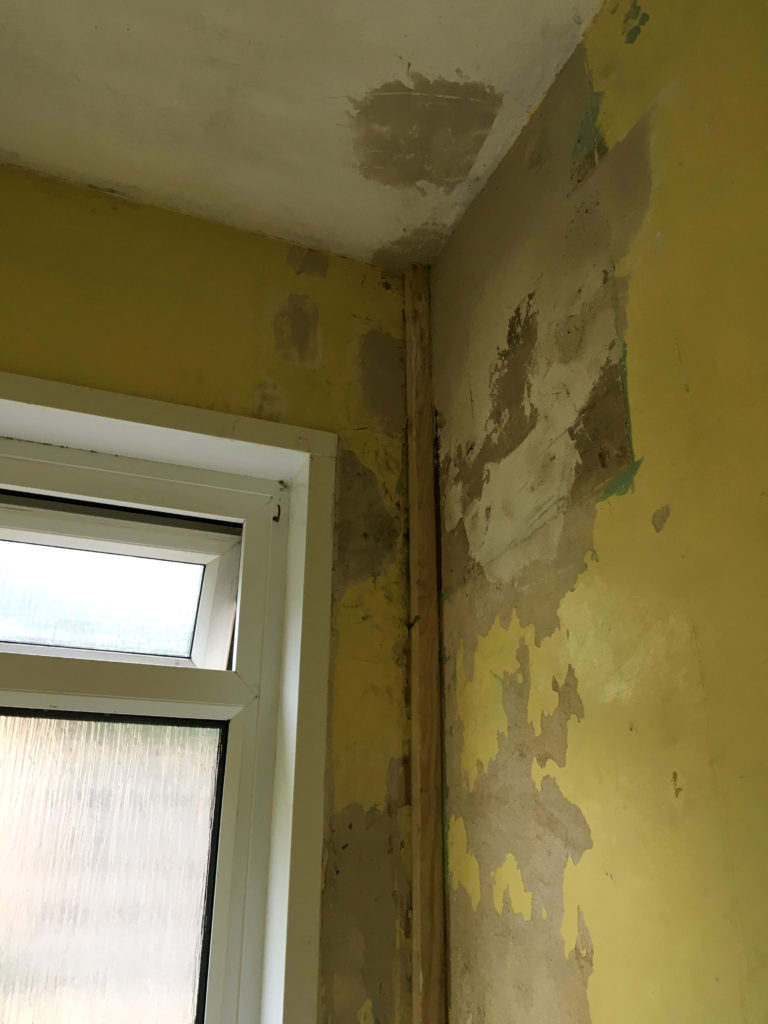 Detail of plaster repair where old cistern was in downstairs loo