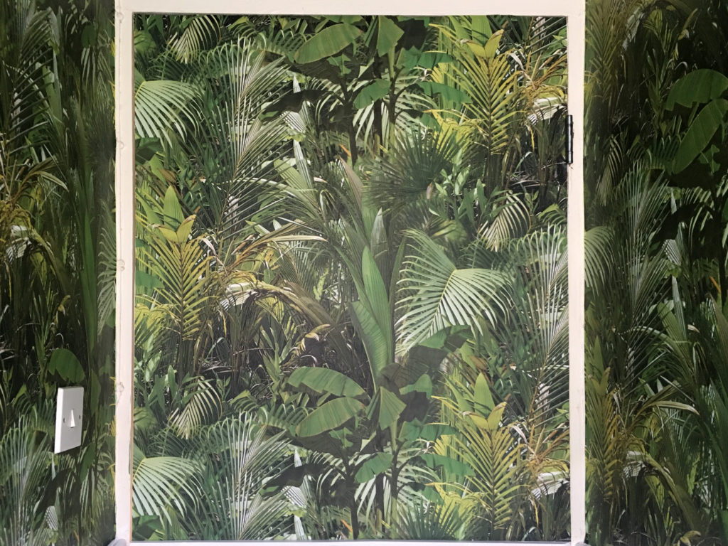 Wallpaper on the door in the downstairs loo