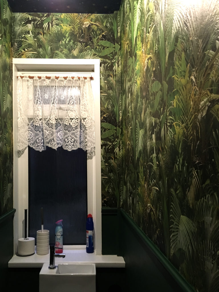Downstairs loo painting completed