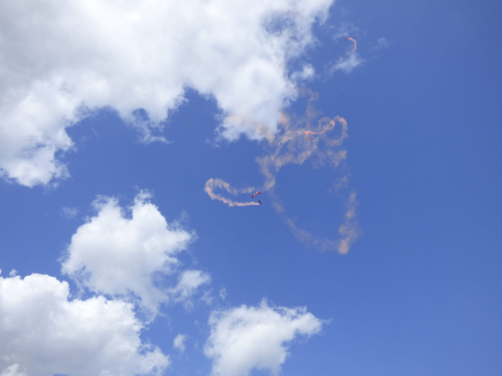 Totnes Show 2019. Red Devils.