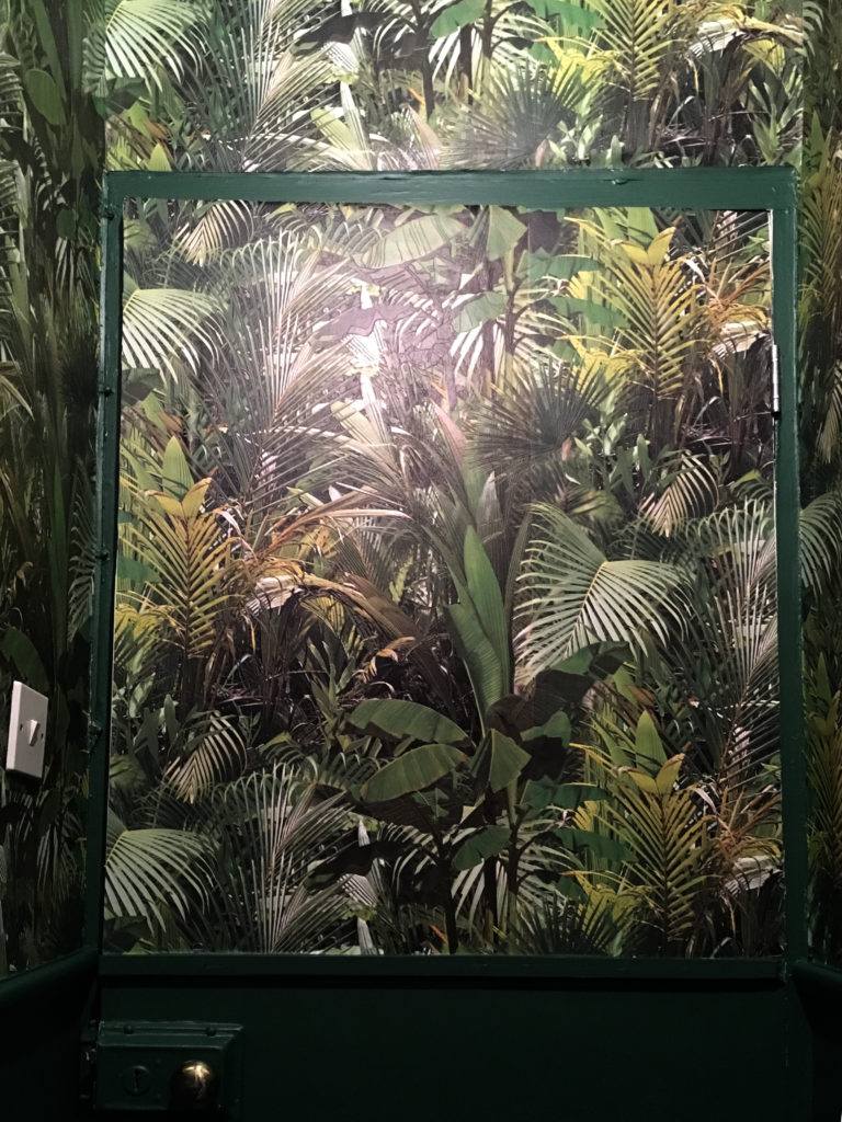 Downstairs loo painting completed - door