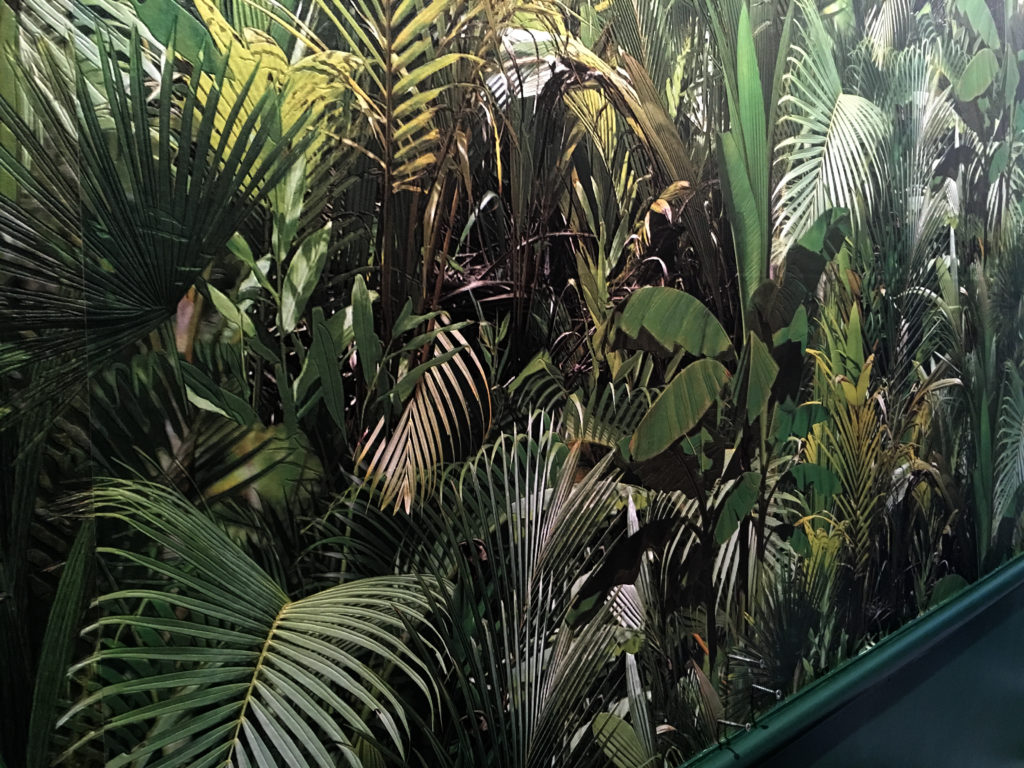 Jungle wallpaper in the downstairs loo