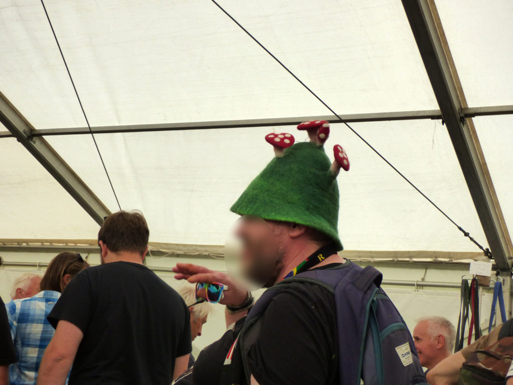 Totnes Show 2019. Felt toadstool hat.