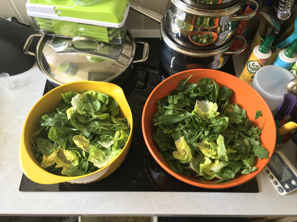 Leafy green salad prep