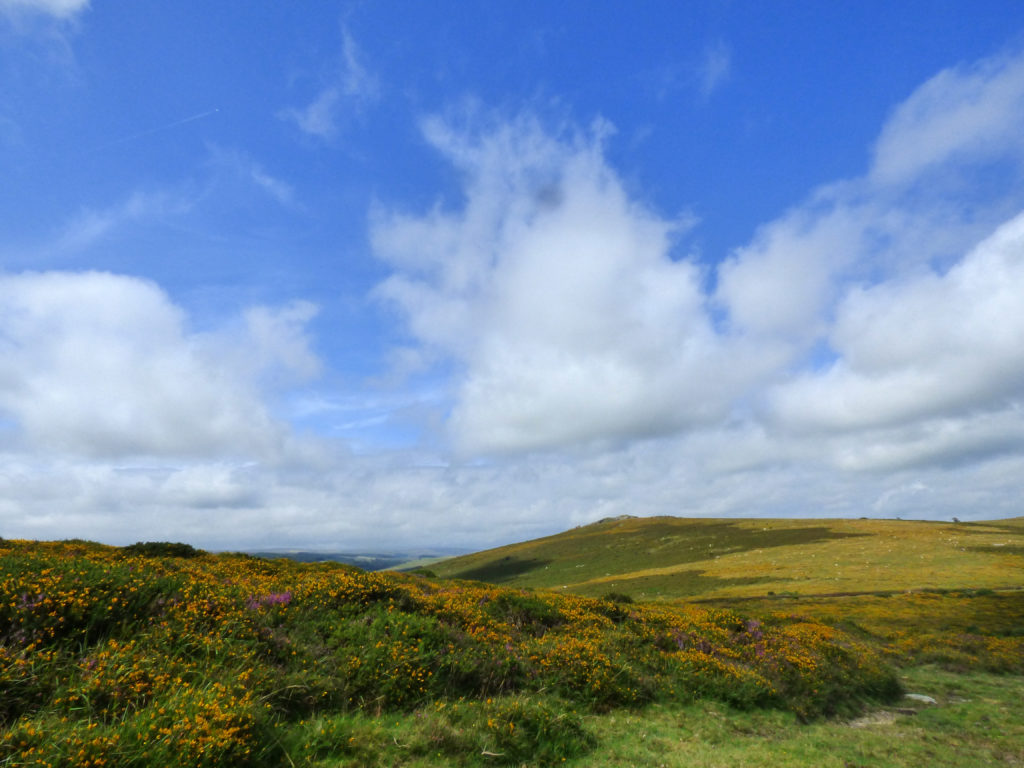 Dartmoor distant view