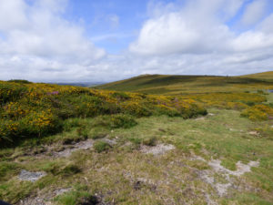 Read more about the article Dartmoor Picnic