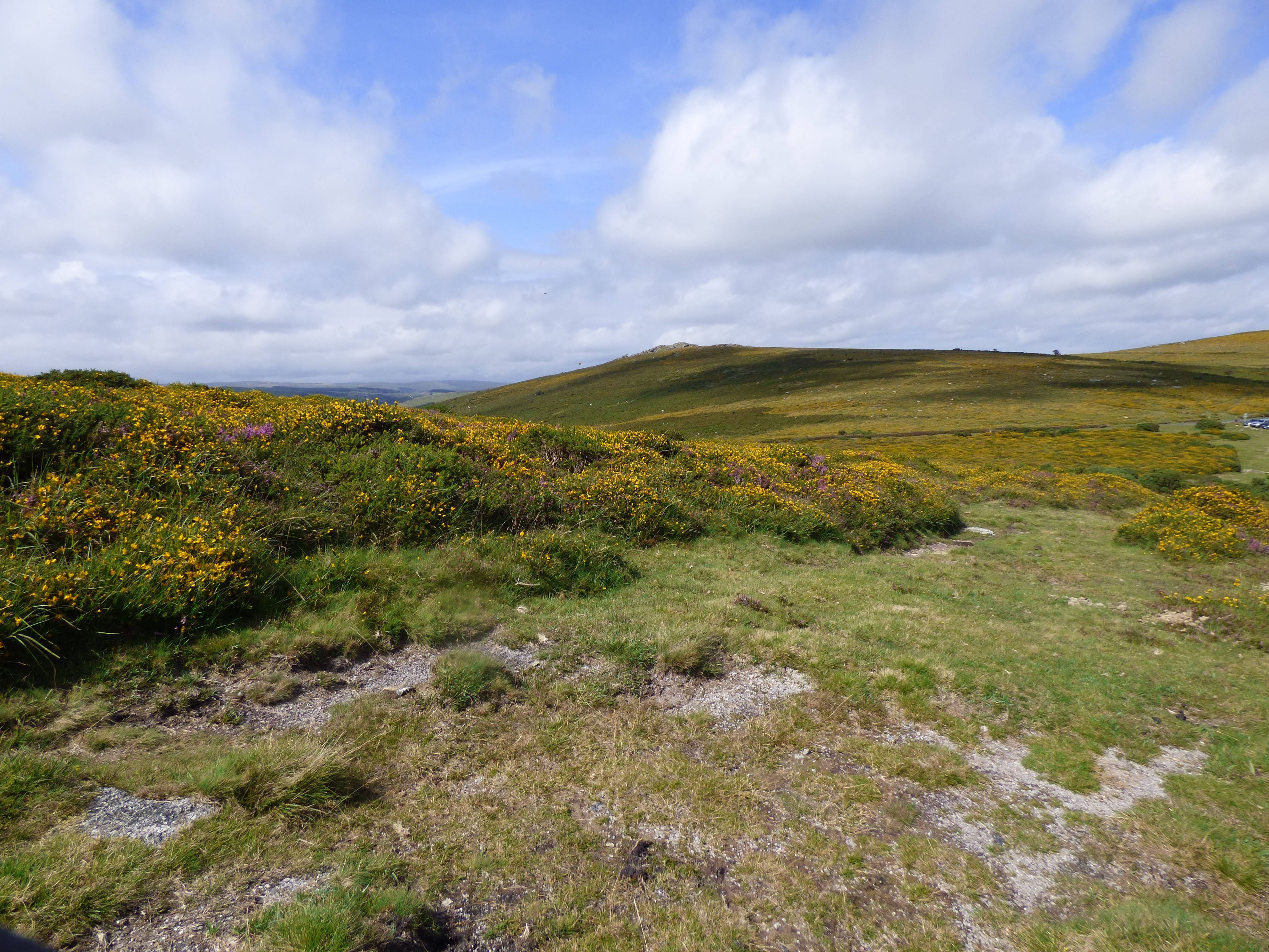 Read more about the article Dartmoor Picnic