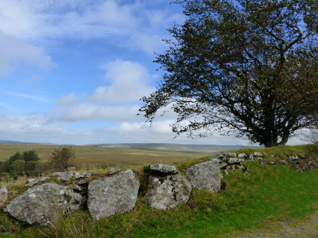 View from the car