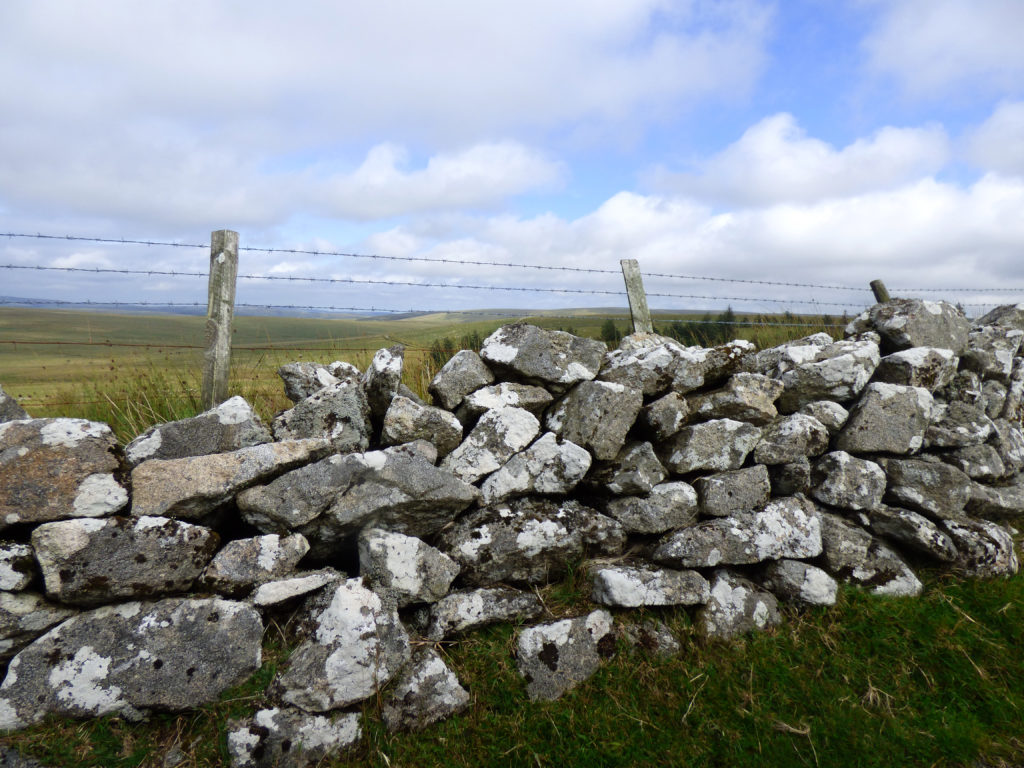Dry stone wall