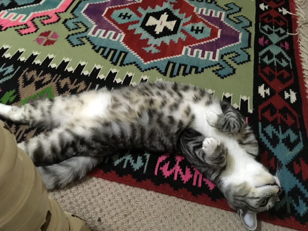 Lily exposing everything on the landing.