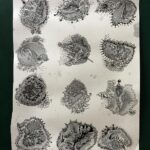 06 First Sheet of Grey Teabag Stain Doodles 30-3-22