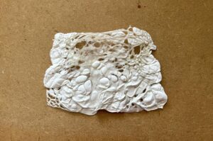 Read more about the article Working with Tyvek