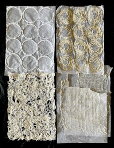 Read more about the article Making Speciality Papers from an Unlikely Source