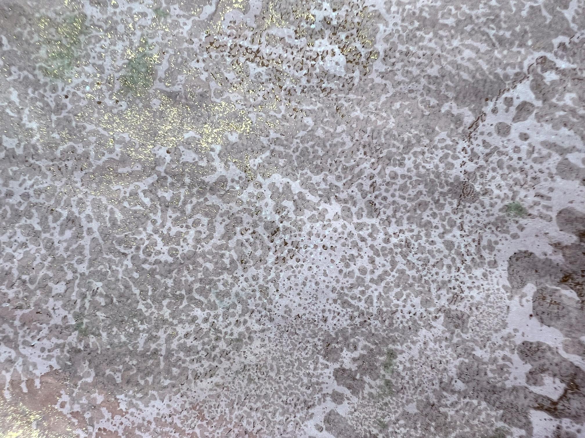 Read more about the article Gel Printing – Venetian Plaster Experiment Successful!