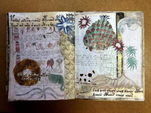 Read more about the article Organic Journal – Voynich 2