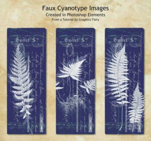 Read more about the article Photoshop and Faux Cyanotype, and More on my Curious Cabinets