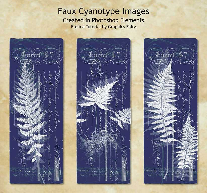 Read more about the article Photoshop and Faux Cyanotype, and More on my Curious Cabinets