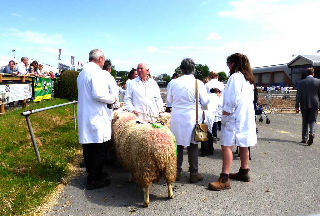 Read more about the article Devon County Show, 2023
