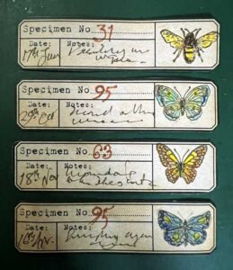 Read more about the article Graphics Fairy Labels, a Large Window Element, Ankle Woes, and the Time is Ticking!