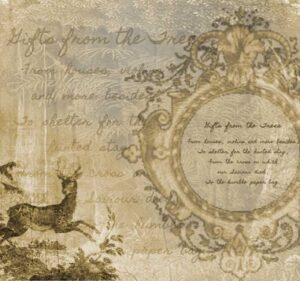 Read more about the article Recycled Paper-Glassine Bag Album – Digital Elements and Specimen Slides