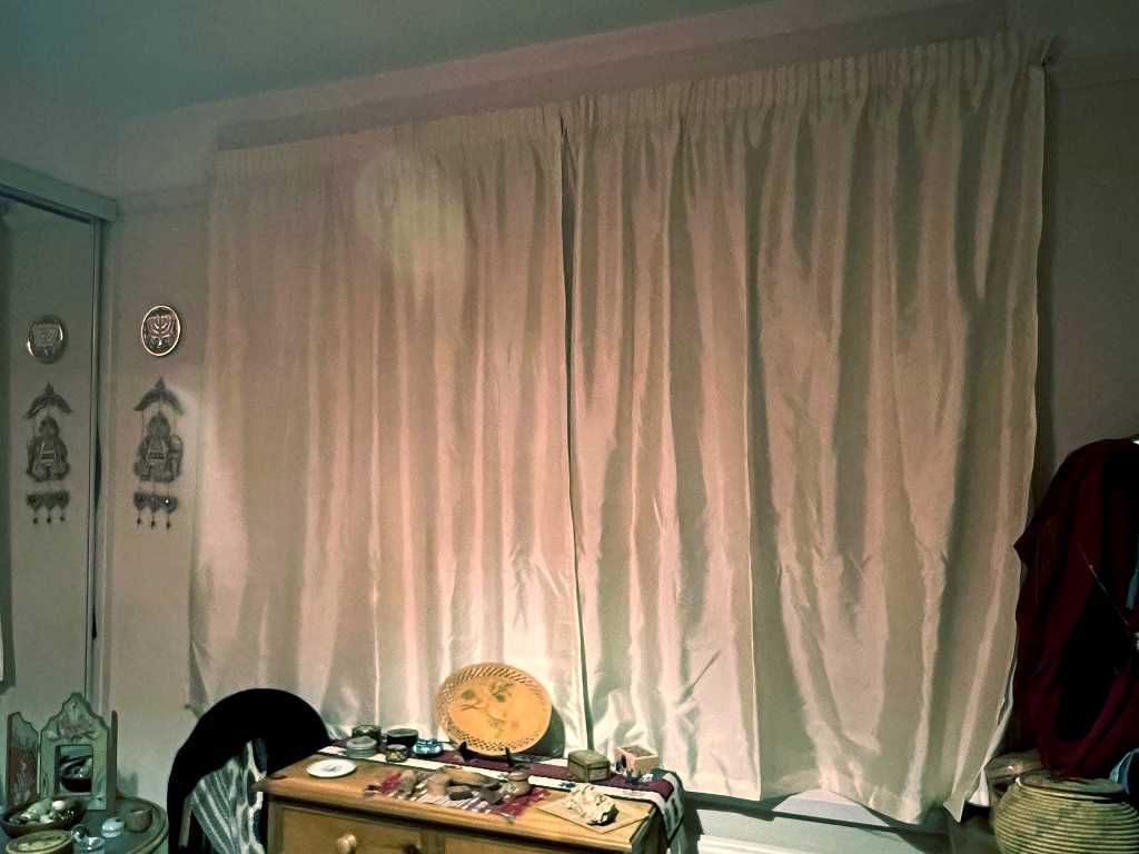 Read more about the article It’s Curtains for Shoshi