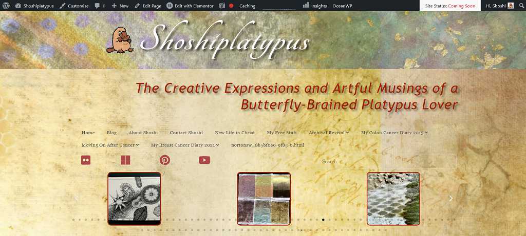 Read more about the article My New Layout