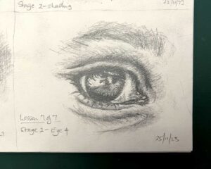 Read more about the article Online Art Course – Completion of the Eye Studies
