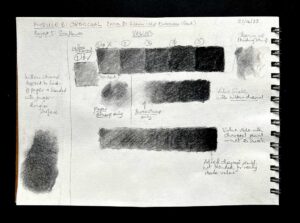 Read more about the article Online Art Course – Module B: Charcoal – Warm-Up Exercises, and Beginning the First Project