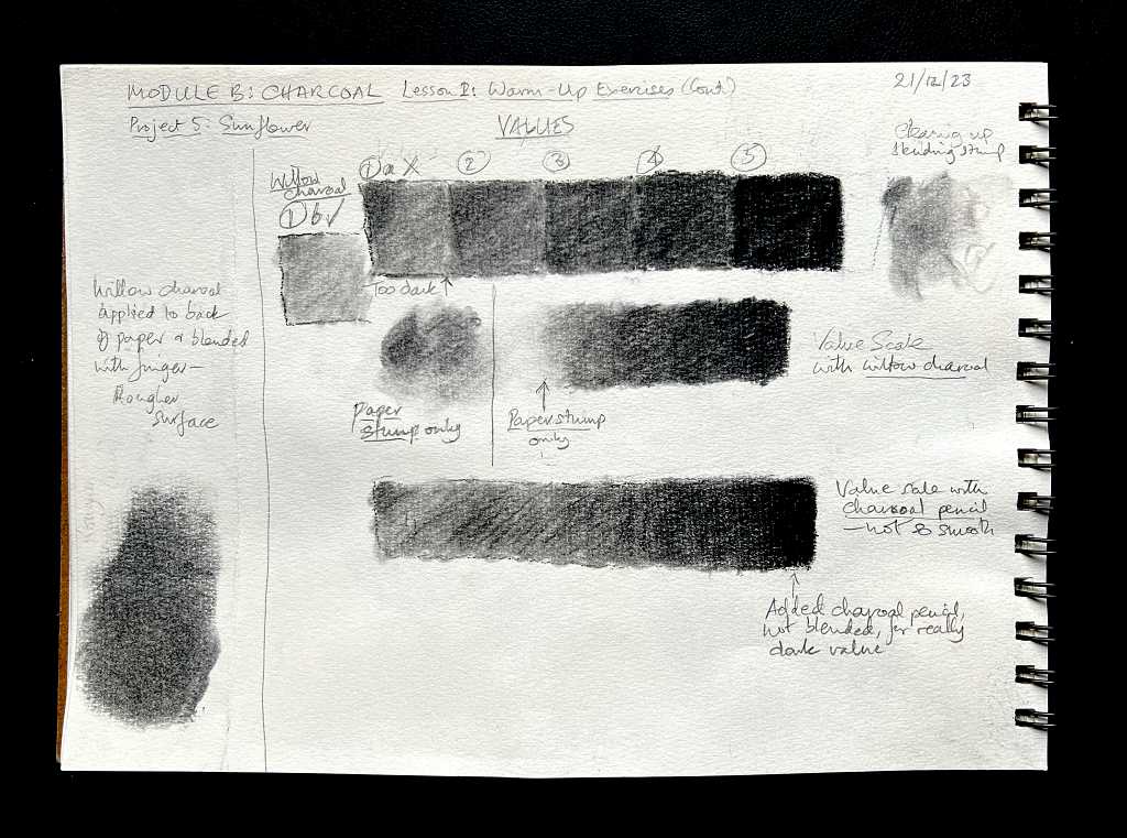 Read more about the article Online Art Course – Module B: Charcoal – Warm-Up Exercises, and Beginning the First Project