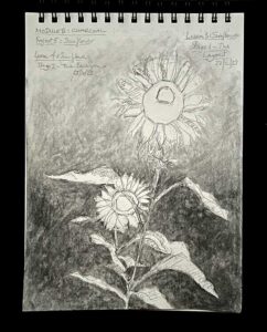 Read more about the article Online Art Course – Module B – Charcoal – Sunflower Background