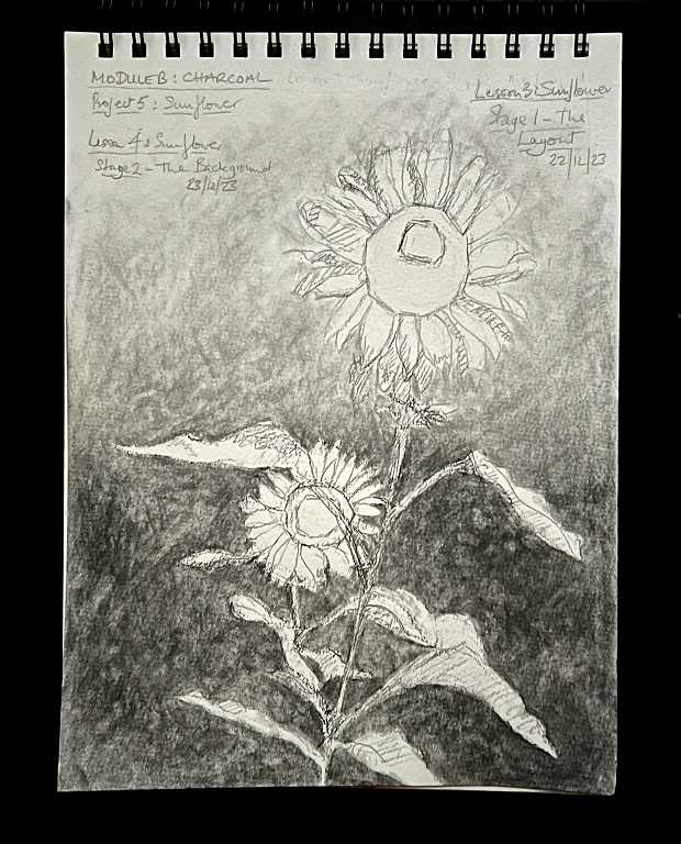 Read more about the article Online Art Course – Module B – Charcoal – Sunflower Background