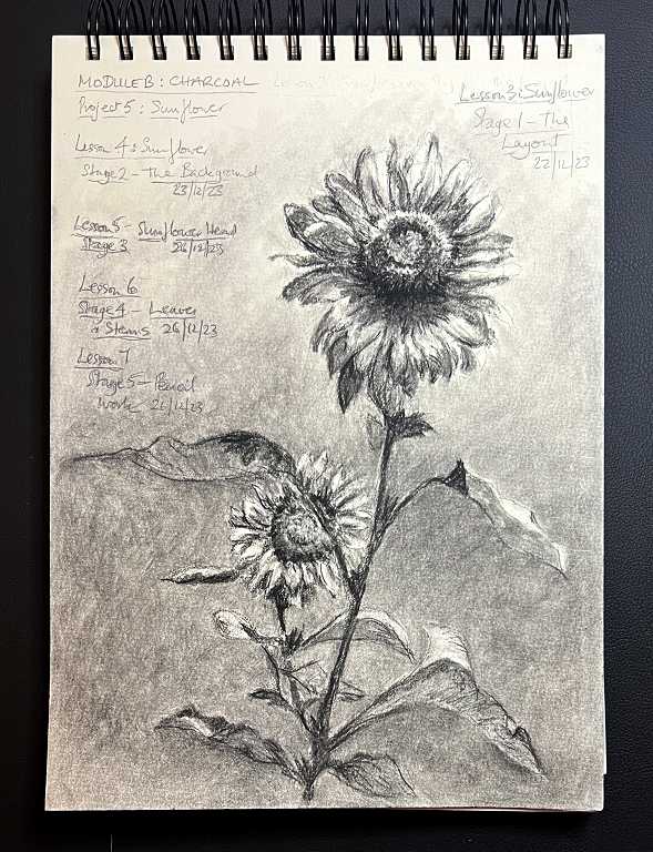 Read more about the article Online Art Course – Module B – Charcoal – Completing the Sunflower Drawing