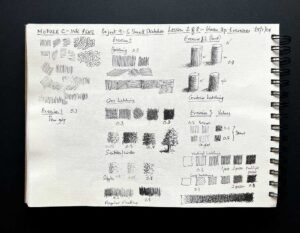 Read more about the article Online Art Course – Module C – Ink Pens