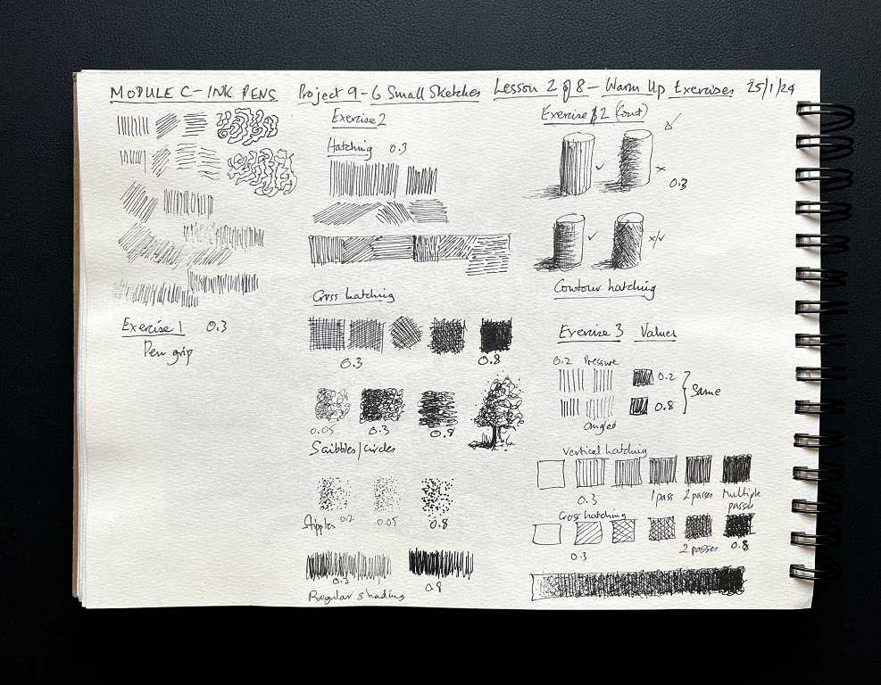 Read more about the article Online Art Course – Module C – Ink Pens