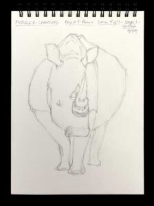 Read more about the article Online Art Course – Beginning the Rhino Charcoal Drawing
