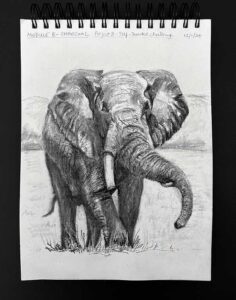 Read more about the article Online Art Course – Completion of the Charcoal Module