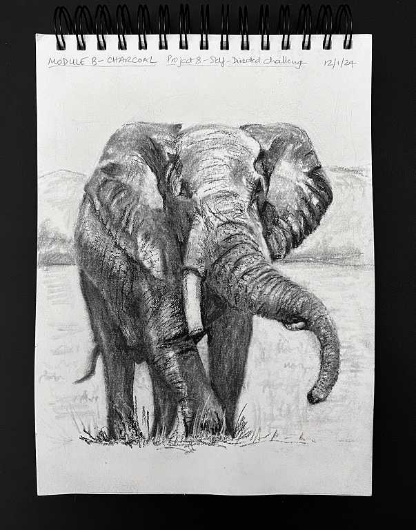 Read more about the article Online Art Course – Completion of the Charcoal Module