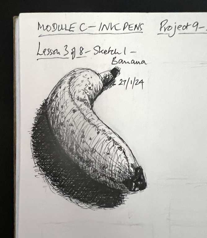 Read more about the article Online Art Course – The First of Six Small Sketches with the Ink Pens – Banana