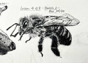 Read more about the article Online Art Course – The Second of Six Small Sketches with the Ink Pens – Bee